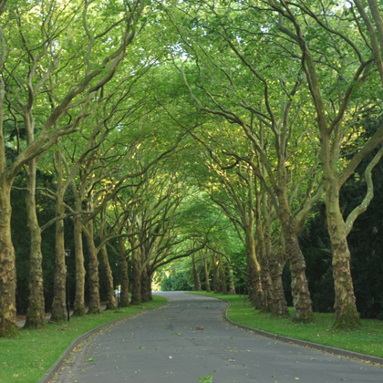 Rusz się na weekend (4): Szczecin
